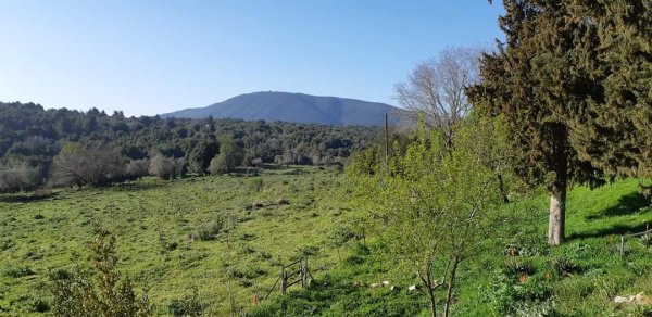 أراضي كفر برعم المهجرة، نقلاً عن صفحة الأستاذ قيس فحماوي