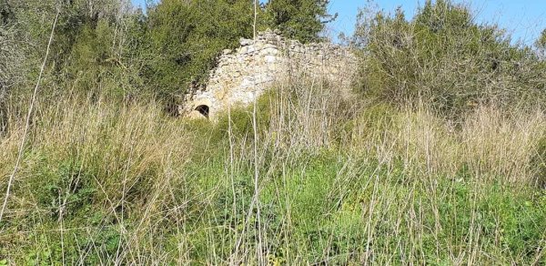 أراضي كفر برعم المهجرة، نقلاً عن صفحة الأستاذ قيس فحماوي