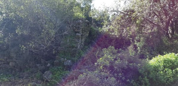 أراضي كفر برعم المهجرة، نقلاً عن صفحة الأستاذ قيس فحماوي