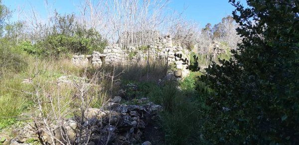 أراضي كفر برعم المهجرة، نقلاً عن صفحة الأستاذ قيس فحماوي