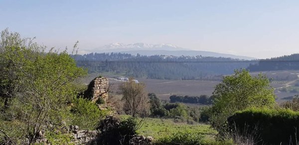 أراضي كفر برعم المهجرة، نقلاً عن صفحة الأستاذ قيس فحماوي