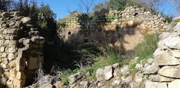 أراضي كفر برعم المهجرة، نقلاً عن صفحة الأستاذ قيس فحماوي