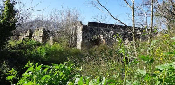 أراضي كفر برعم المهجرة، نقلاً عن صفحة الأستاذ قيس فحماوي