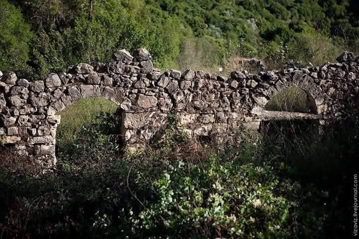 قرية كفر برعم المهجرة - صفد كفربرعم