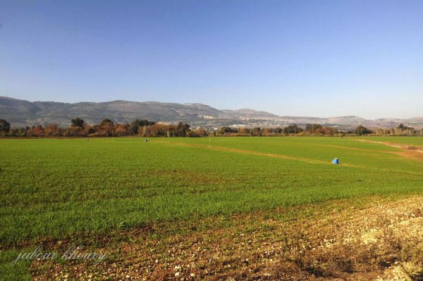  | موسوعة القرى الفلسطينية