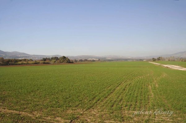  | موسوعة القرى الفلسطينية