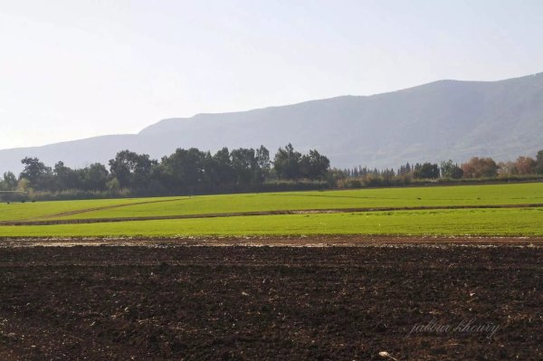  | موسوعة القرى الفلسطينية