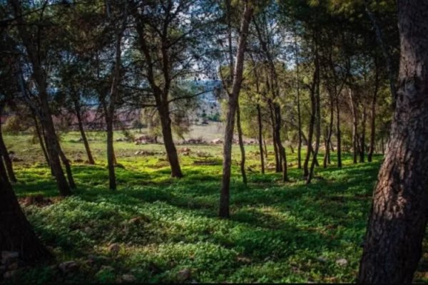  | موسوعة القرى الفلسطينية