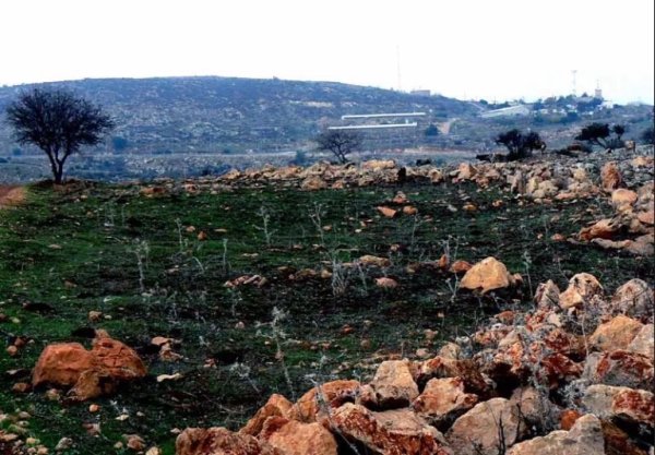  | موسوعة القرى الفلسطينية