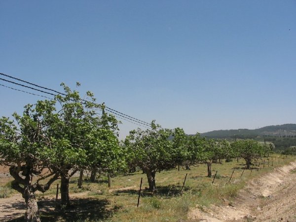  | موسوعة القرى الفلسطينية