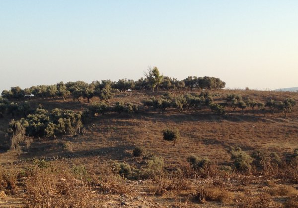  | موسوعة القرى الفلسطينية