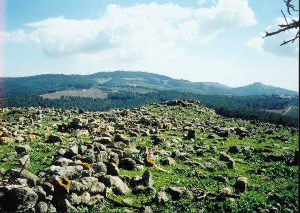 صور من أراضي قرية طيطبا