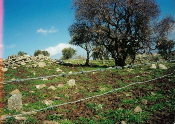 صور من أراضي قرية طيطبا