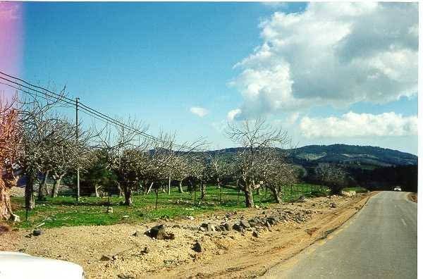 صور من أراضي قرية طيطبا