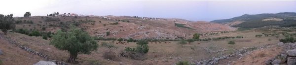 صور من أراضي قرية طيطبا