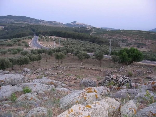 صور من أراضي قرية طيطبا