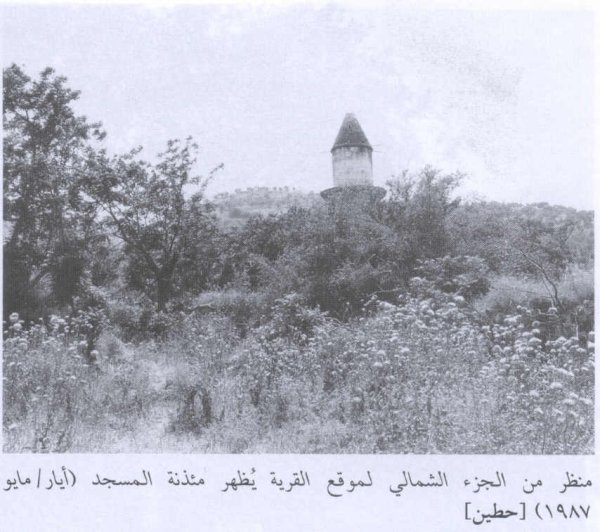 منظر عام لقرية حطين في الجهة الشمالية عام 1987