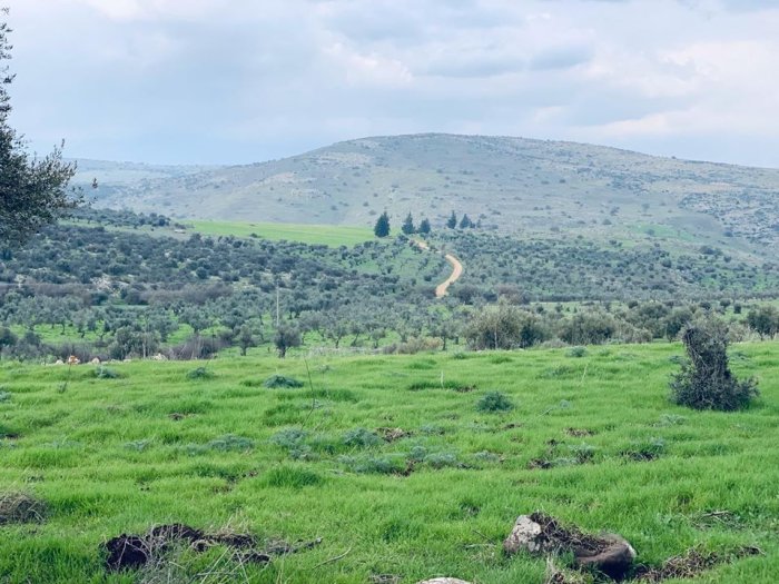 حِطِّين  | موسوعة القرى الفلسطينية