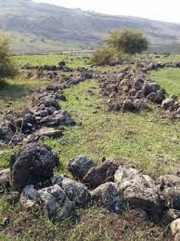  | موسوعة القرى الفلسطينية