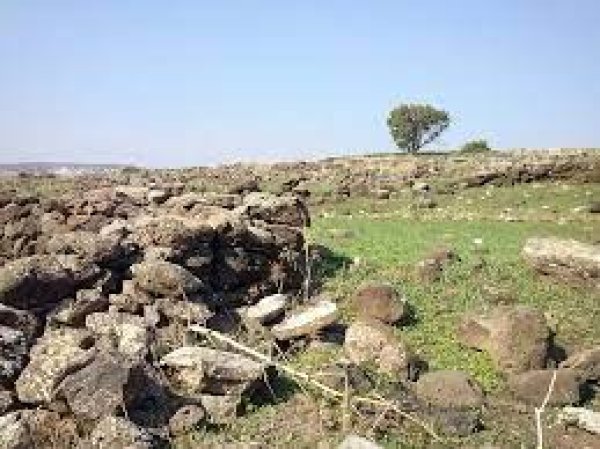  | موسوعة القرى الفلسطينية