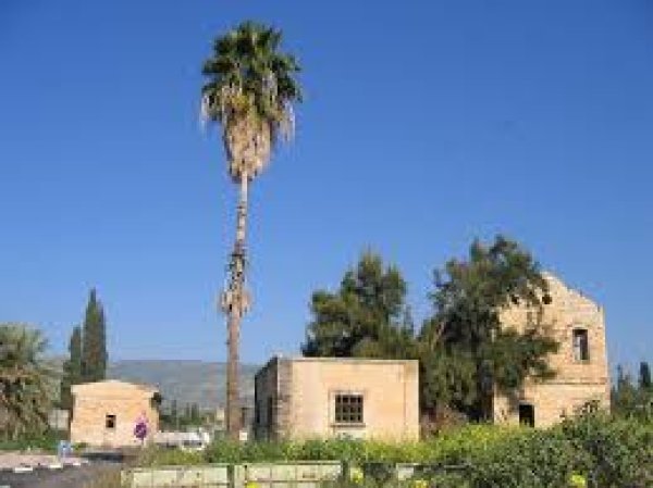  | موسوعة القرى الفلسطينية