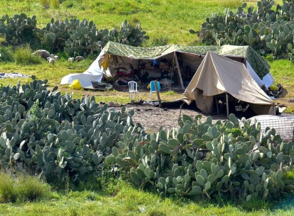  | موسوعة القرى الفلسطينية