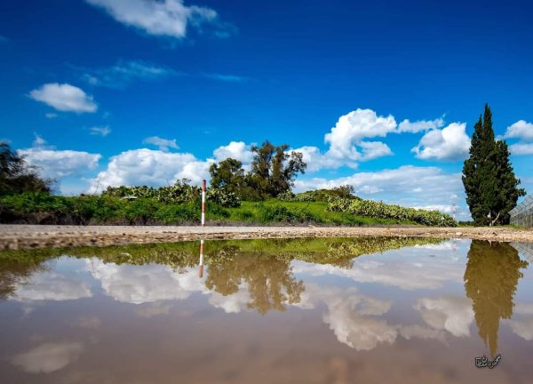  | موسوعة القرى الفلسطينية