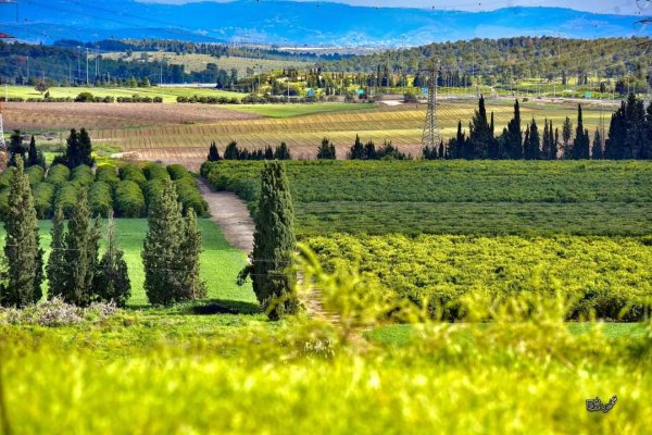  | موسوعة القرى الفلسطينية