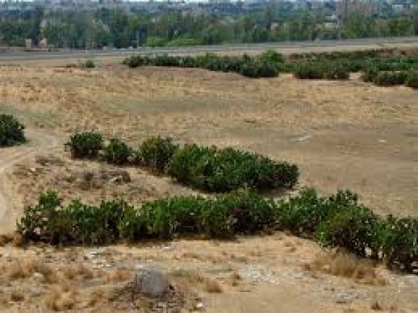 من أراضي عراق المنشية من أراضي عراق المنشية