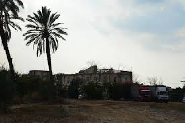 صرفند العمار صرفند العمار