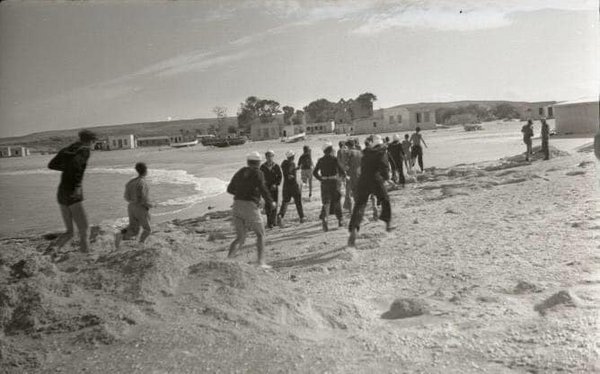 صرفند العمار صرفند العمار