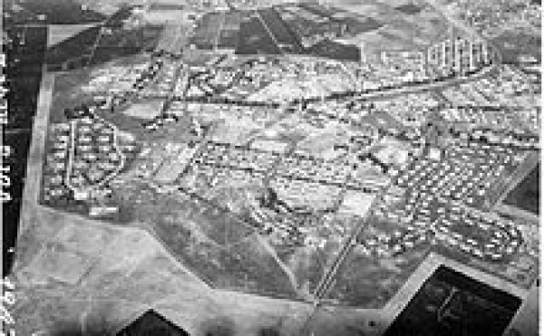 صرفند العمار