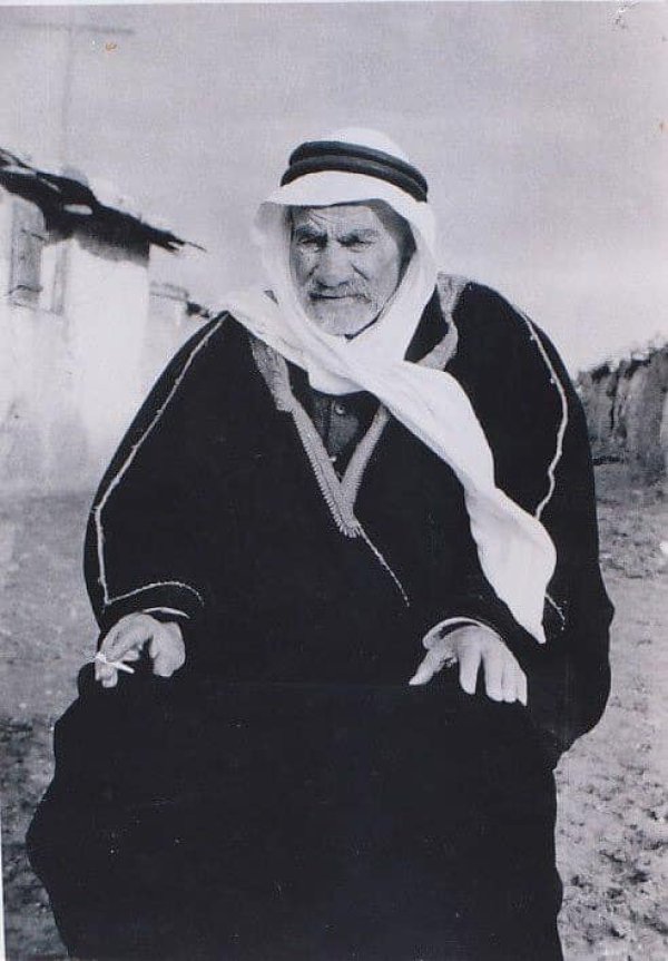 قرية الشجرة قرية الشجرة