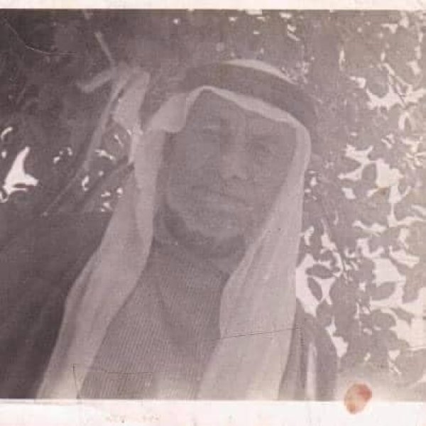 قرية الشجرة قرية الشجرة