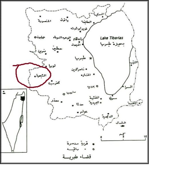 خريطة قرية الشجرة