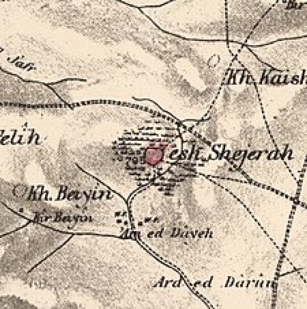 خريطة قرية الشجرة