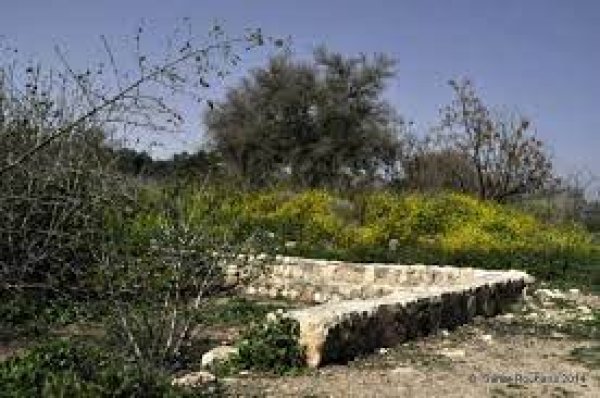  | موسوعة القرى الفلسطينية