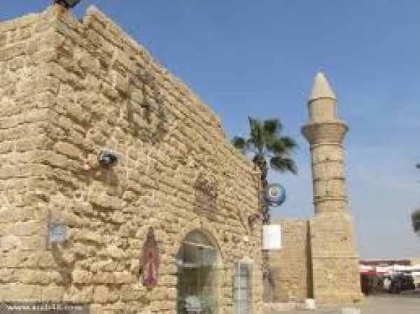  | موسوعة القرى الفلسطينية