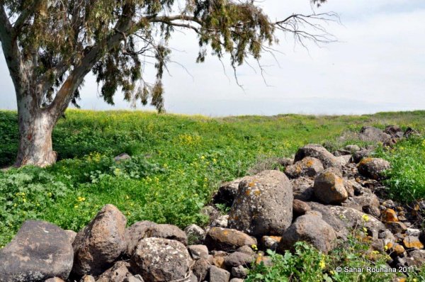  | موسوعة القرى الفلسطينية