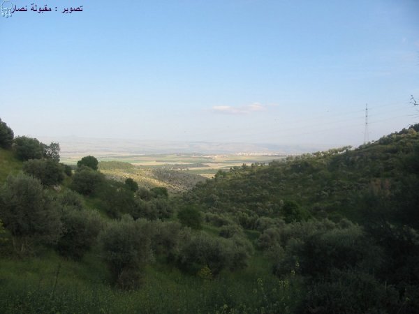  | موسوعة القرى الفلسطينية