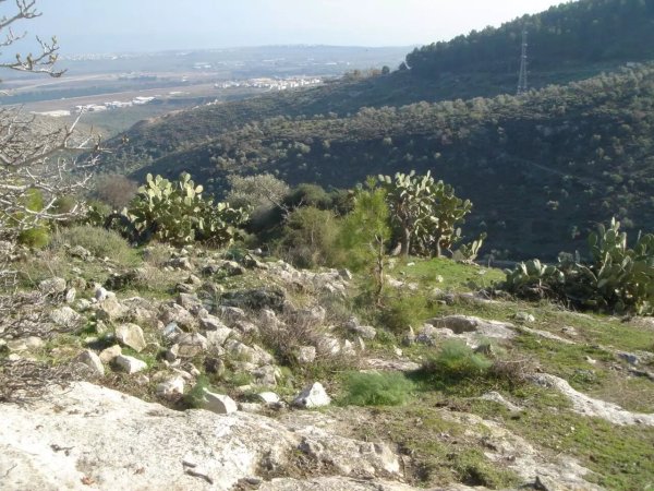  | موسوعة القرى الفلسطينية