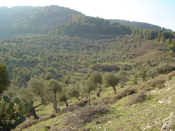  | موسوعة القرى الفلسطينية