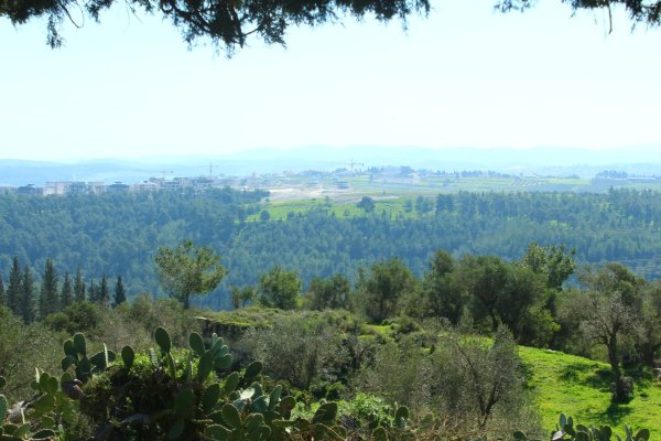  | موسوعة القرى الفلسطينية