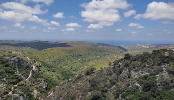  | موسوعة القرى الفلسطينية