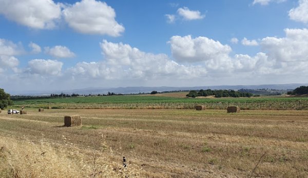  | موسوعة القرى الفلسطينية