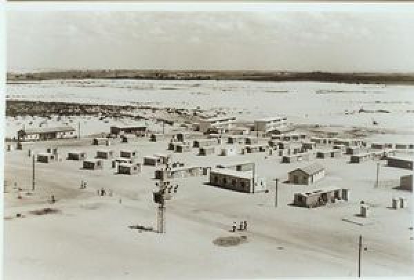 أسدود أسدود