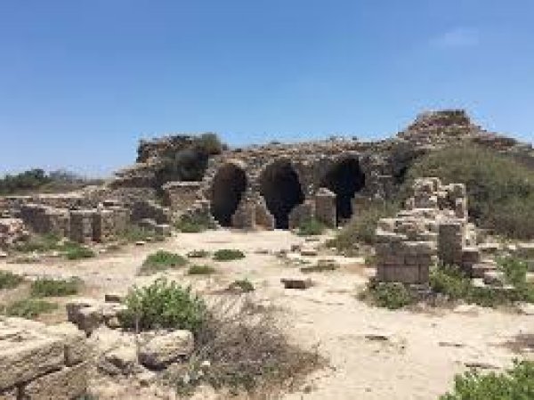  | موسوعة القرى الفلسطينية