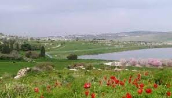  | موسوعة القرى الفلسطينية