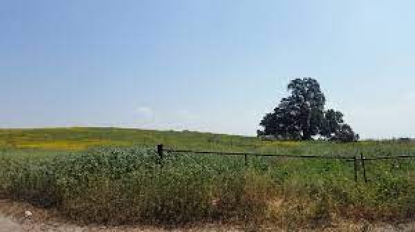 | موسوعة القرى الفلسطينية  | موسوعة القرى الفلسطينية