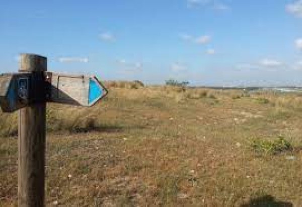 | موسوعة القرى الفلسطينية  | موسوعة القرى الفلسطينية